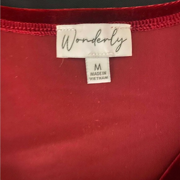 Wonderly Red Velvet Draped Surplice V-Neck Blouse - Size Medium - Picture 2 of 8